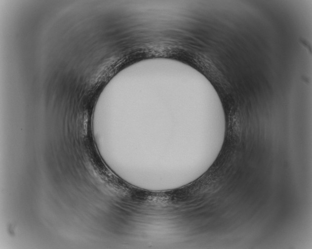 X0000102350694200808221654