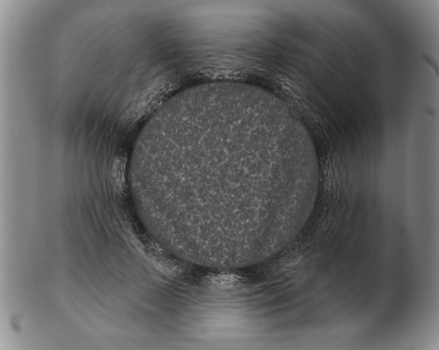 X0000102350695200808221654