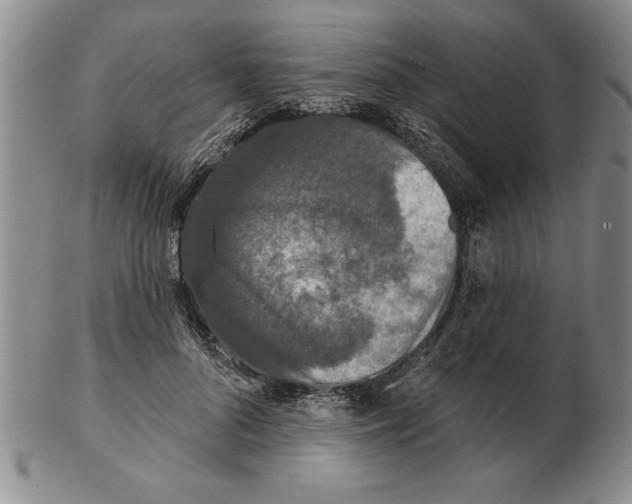 X0000102350696200808221654