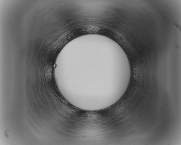 X0000102350697200808221654