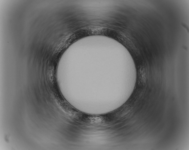 X0000102350698200808221654