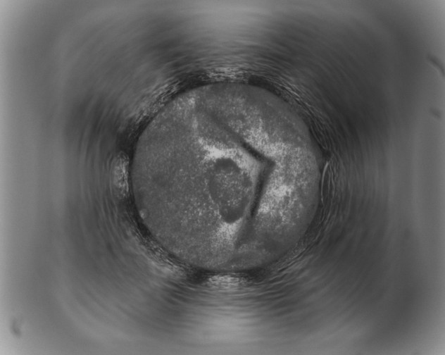 X0000102350699200808221654