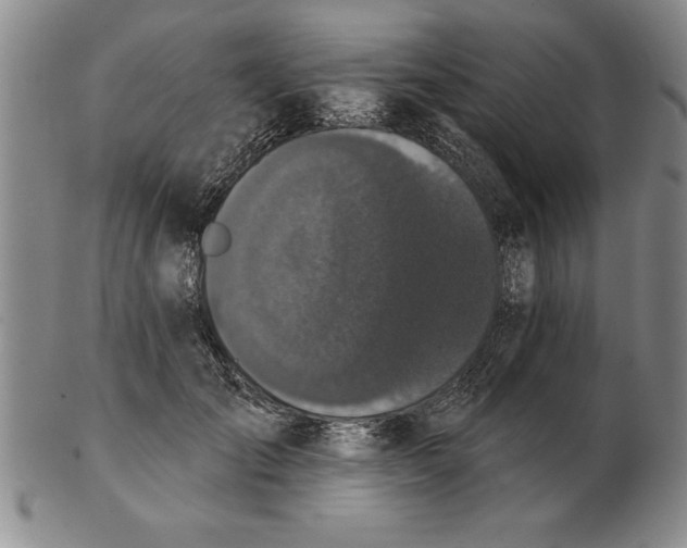 X0000102350701200808221654