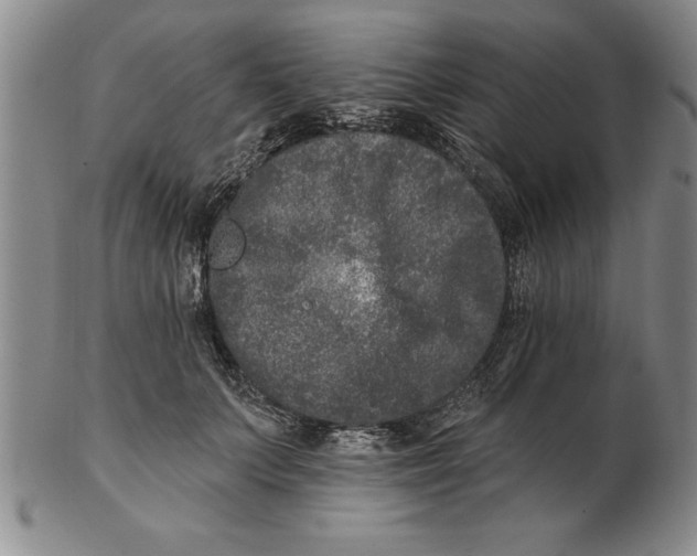 X0000102350703200808221654