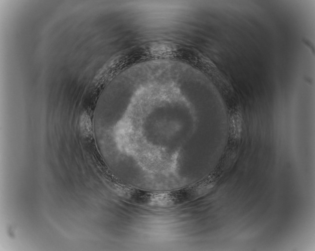 X0000102350705200808221654