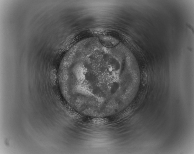 X0000102350707200808221654