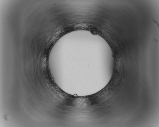 X0000102350708200808221654