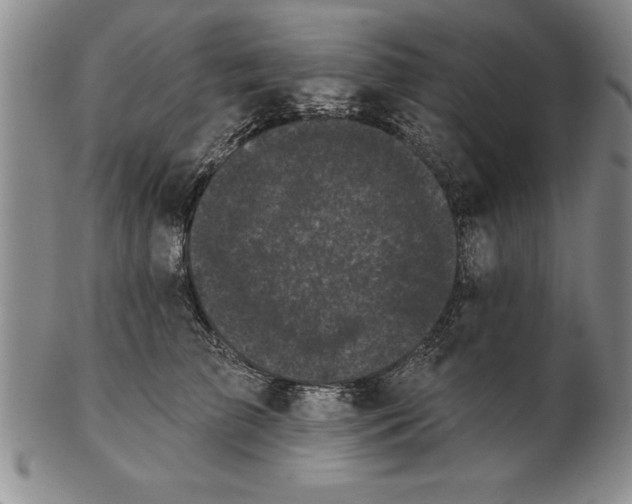 X0000102350709200808221654