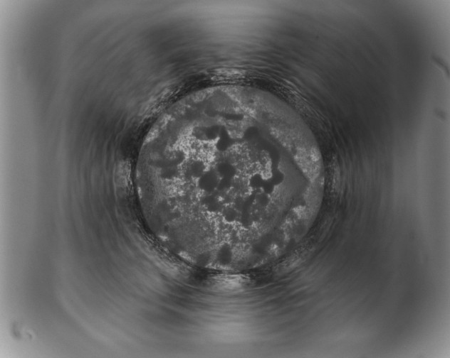 X0000102350711200808221654