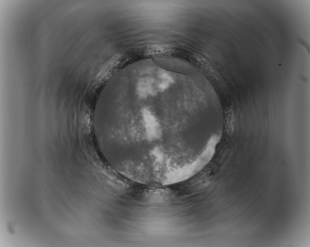 X0000102350716200808221654