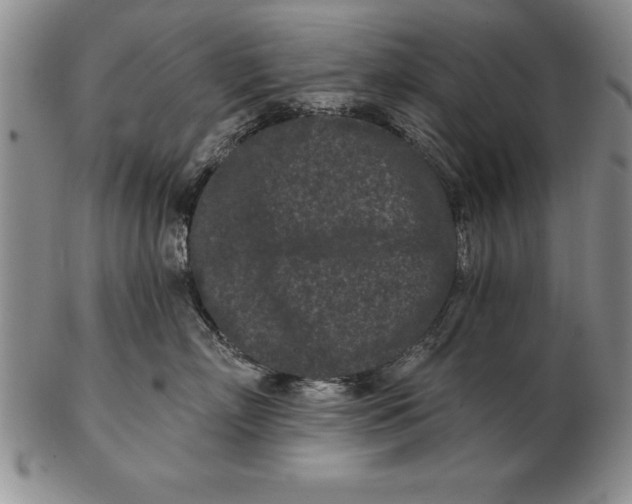 X0000102350718200808221654