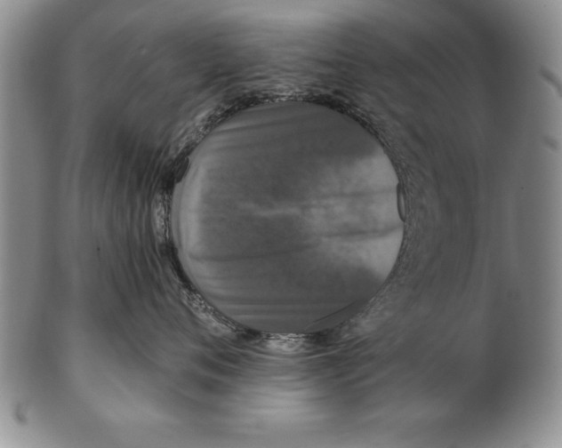 X0000102350720200808221653