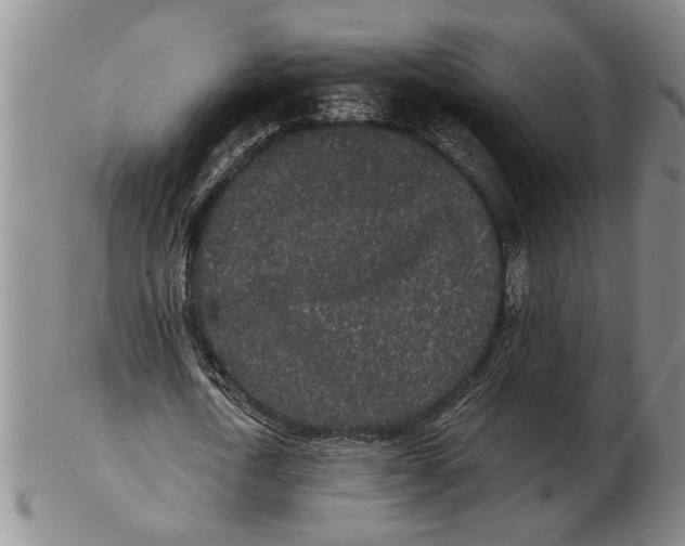 X0000102350722200808221653