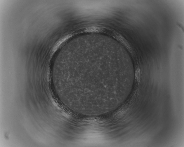 X0000102350724200808221653