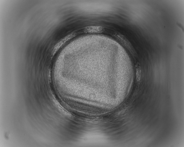 X0000102350725200808221653