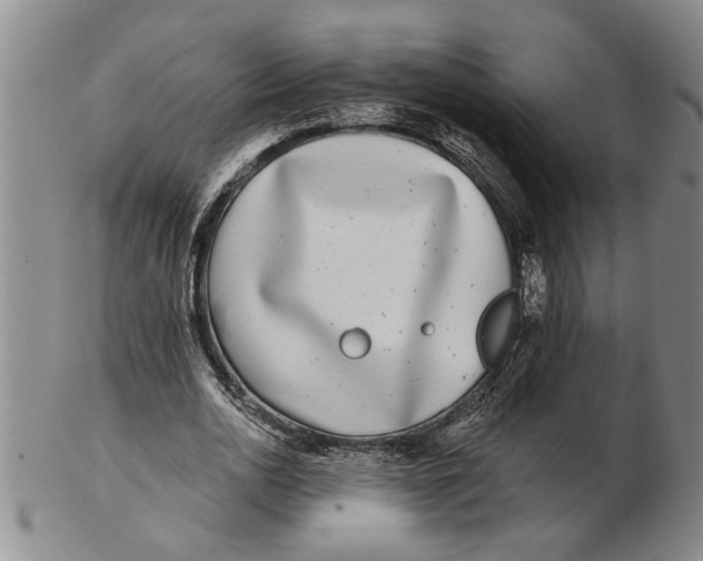 X0000102350726200808221653