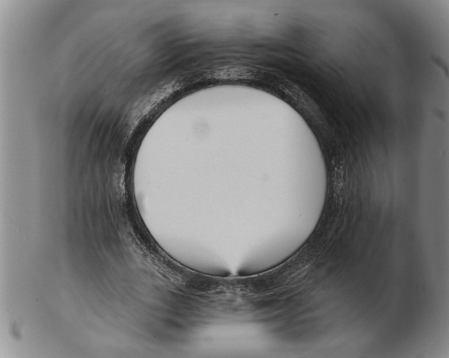 X0000102350727200808221653