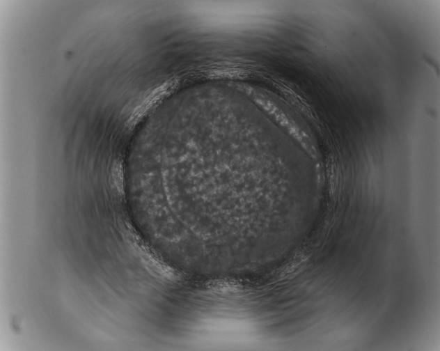 X0000102350729200808221653