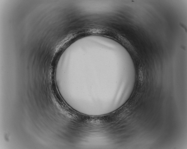 X0000102350730200808221653