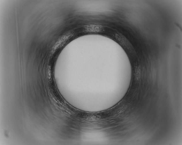 X0000102350731200808221653