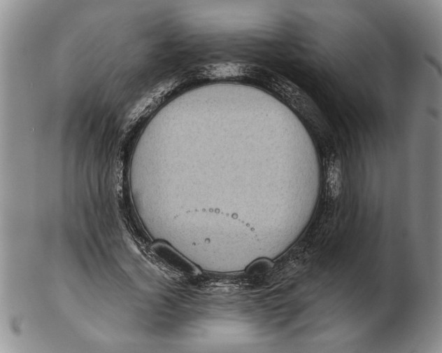 X0000102350732200808221653