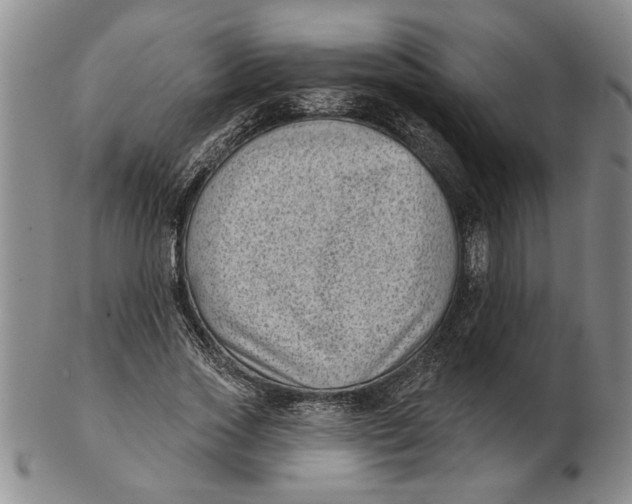 X0000102350733200808221653