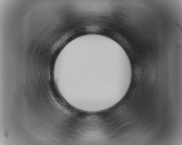 X0000102350734200808221653