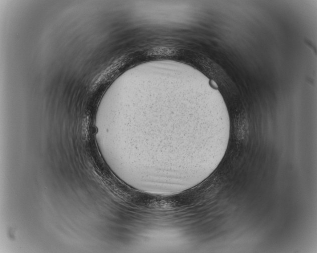 X0000102350735200808221653