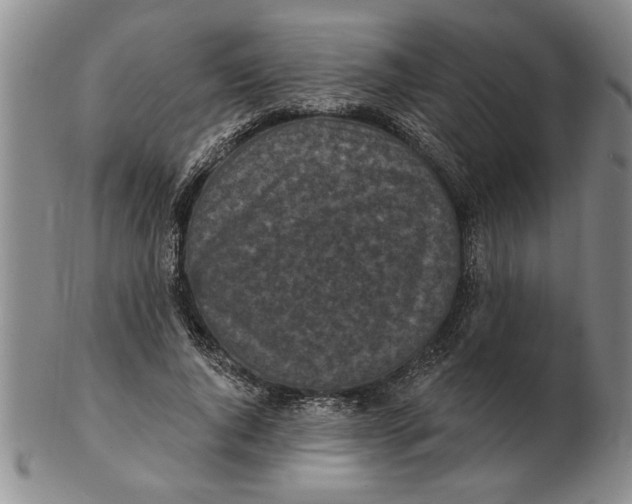 X0000102350736200808221653