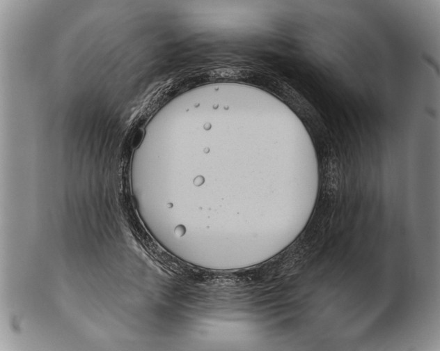 X0000102350738200808221653