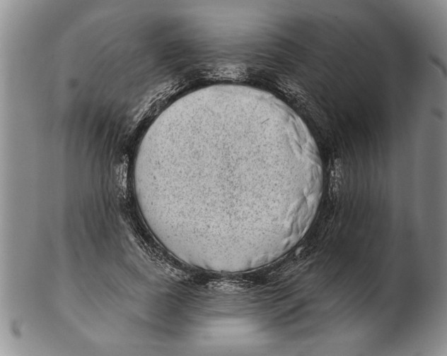 X0000102350739200808221653