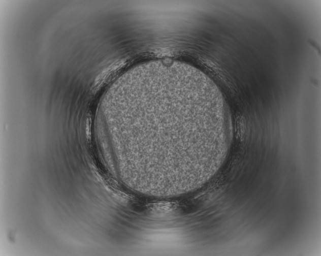 X0000102350740200808221653