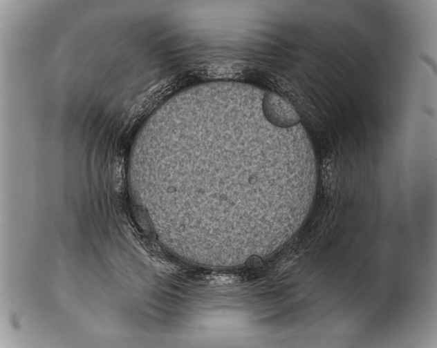 X0000102350741200808221653