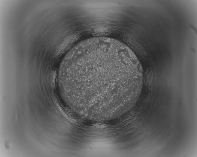 X0000102350742200808221653