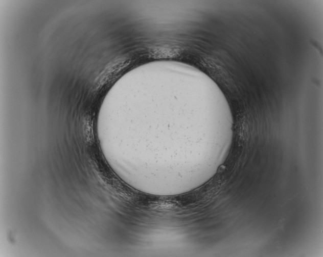 X0000102350743200808221653