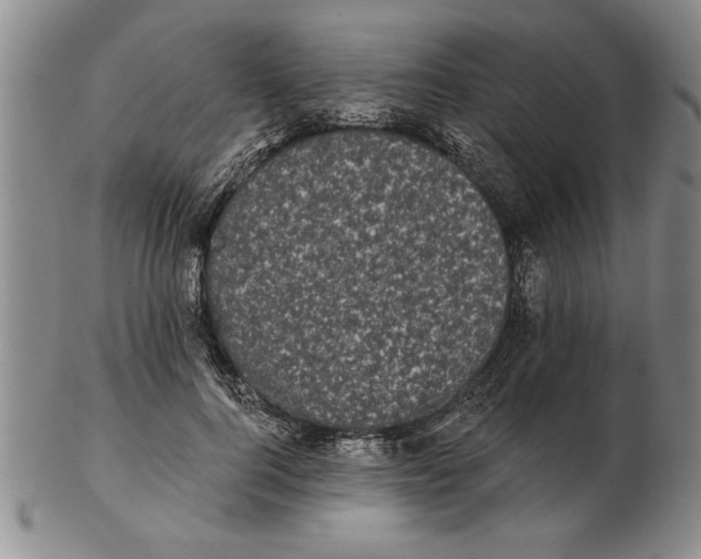 X0000102350744200808221653