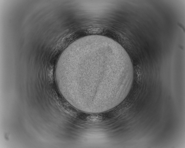 X0000102350745200808221653