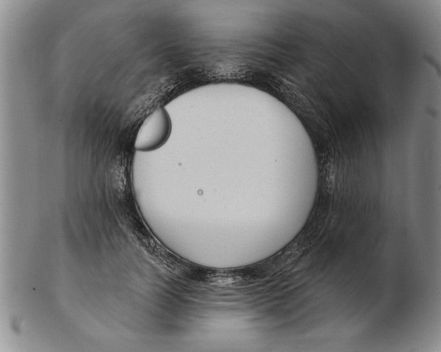 X0000102350746200808221653