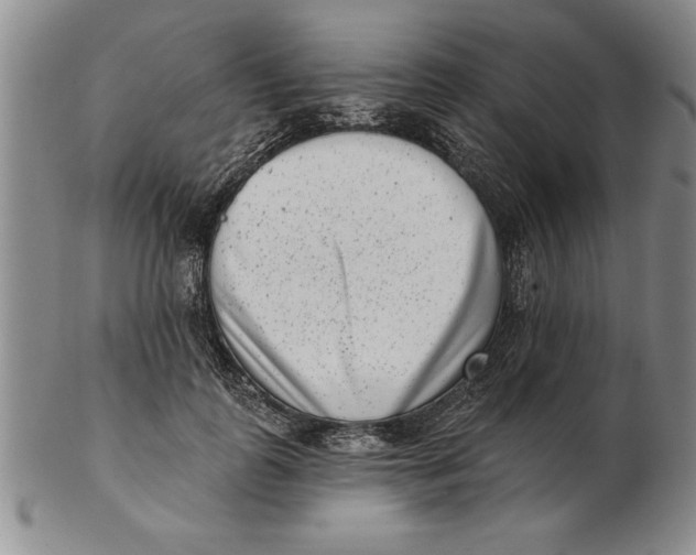 X0000102350747200808221653