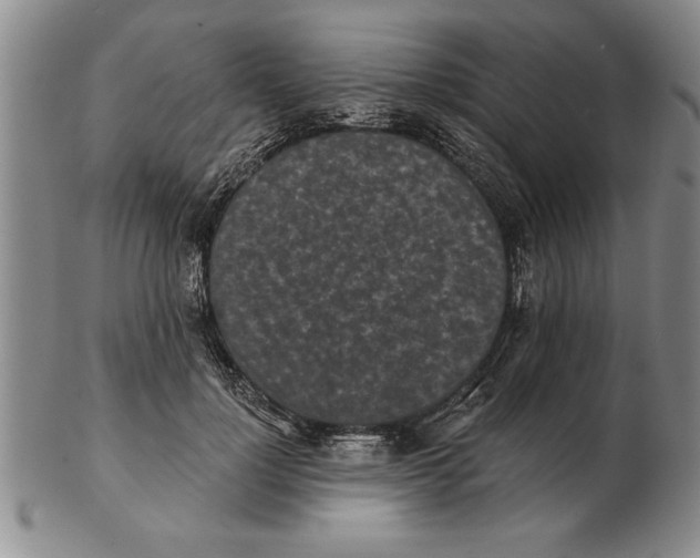 X0000102350748200808221653