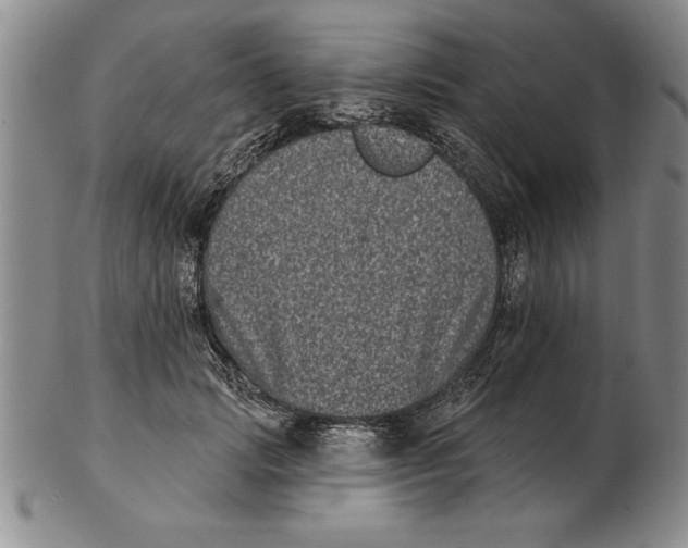 X0000102350749200808221653