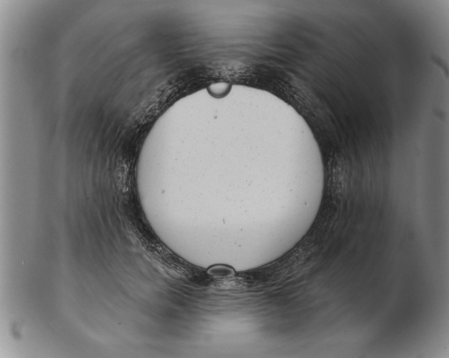 X0000102350750200808221653