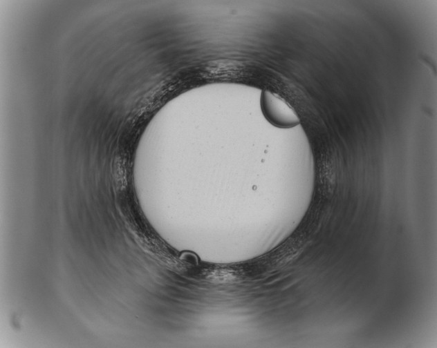 X0000102350751200808221653