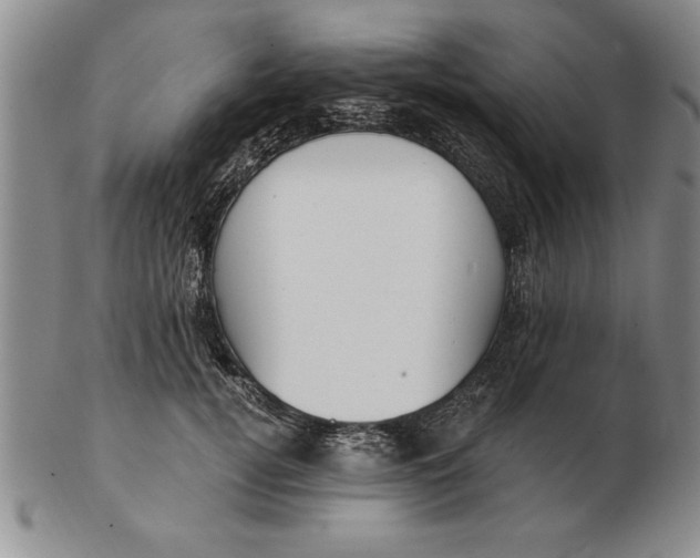 X0000102350752200808221653