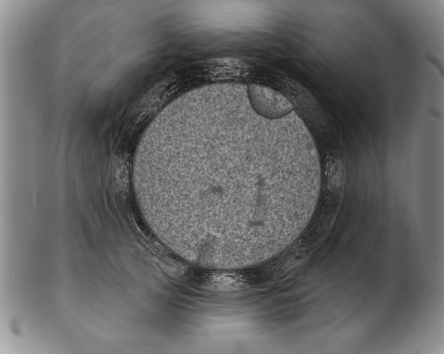 X0000102350753200808221653