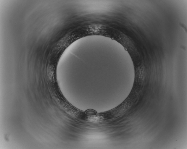 X0000102350754200808221653