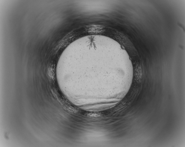 X0000102350755200808221653