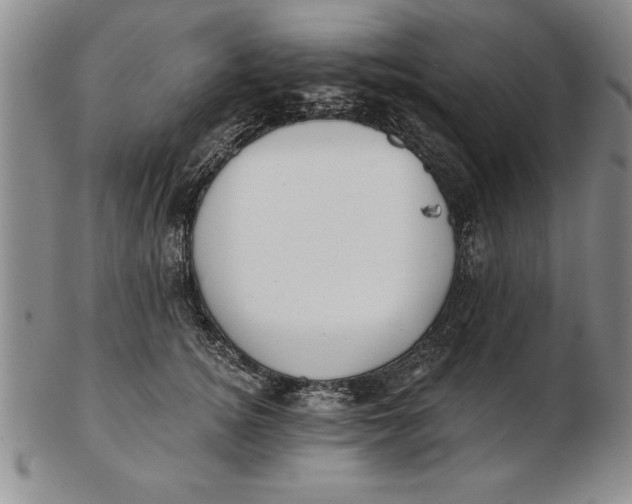 X0000102350756200808221653