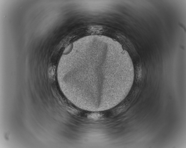 X0000102350759200808221653