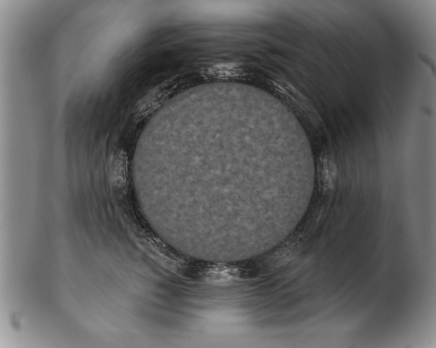 X0000102350760200808221653